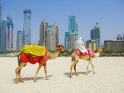 тури в оае з харкова