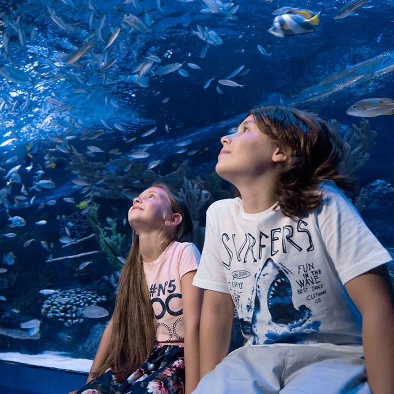 Тунельний акваріум