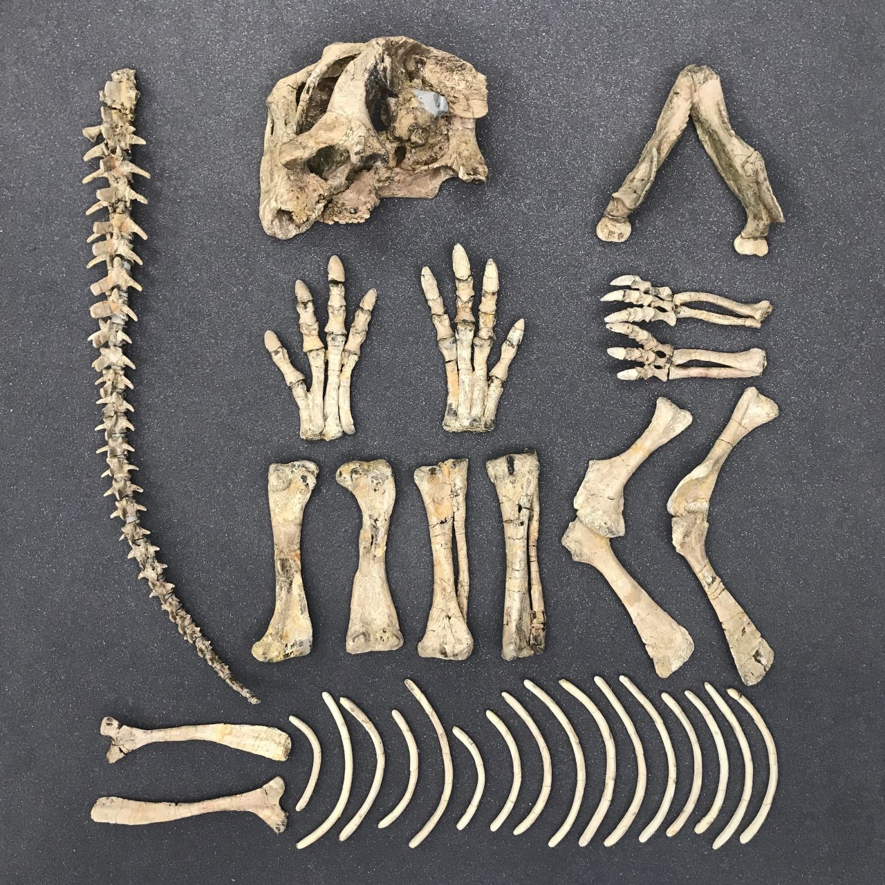 Печера темряви