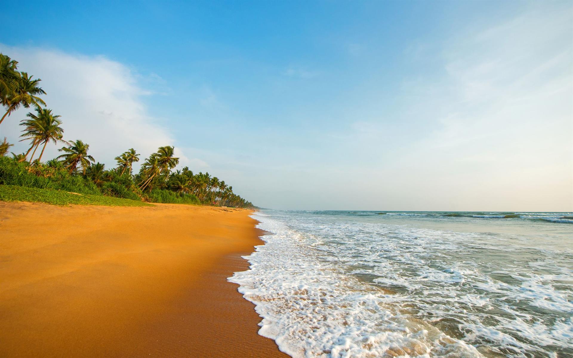 Золото узбережжя