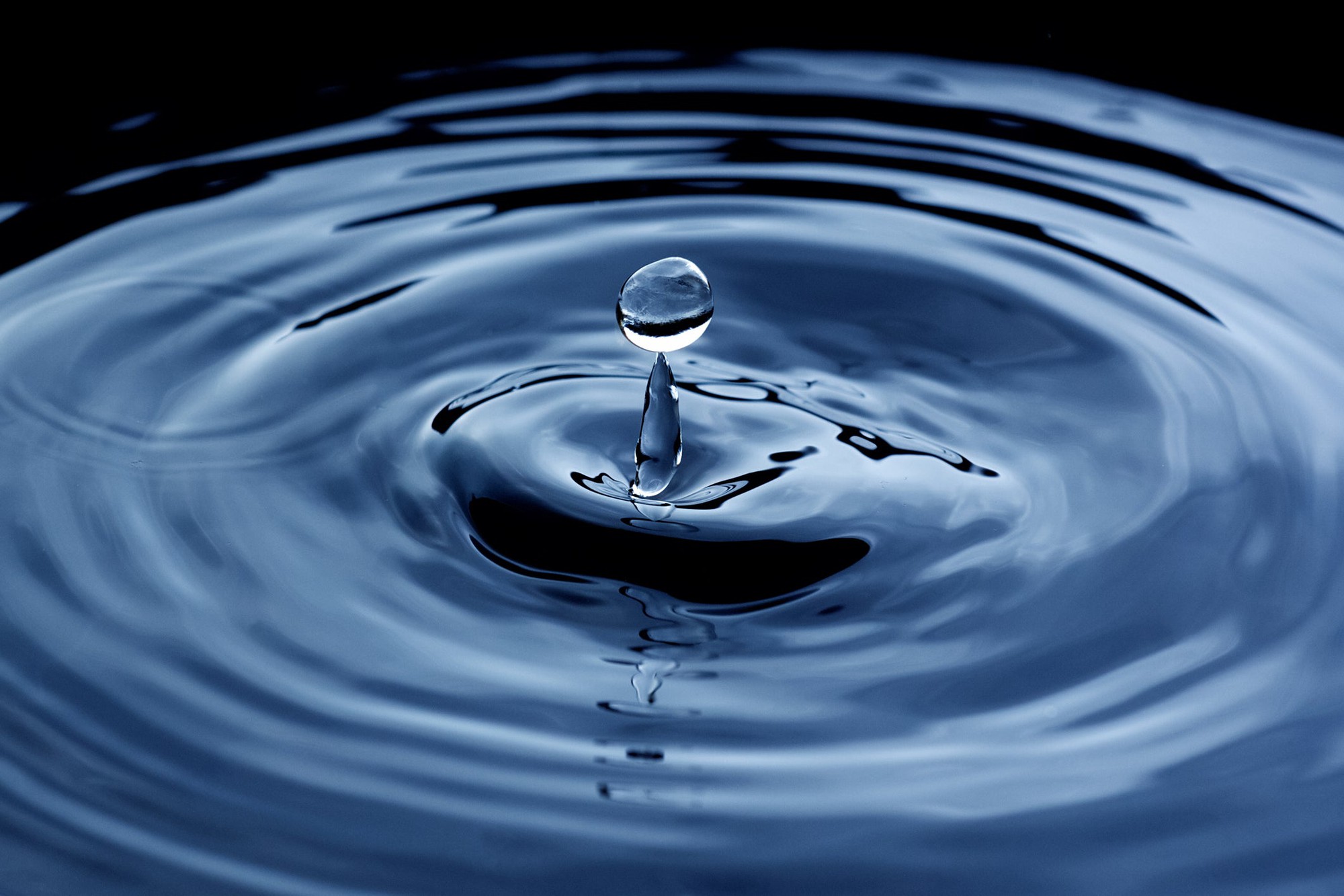 Джерело життя