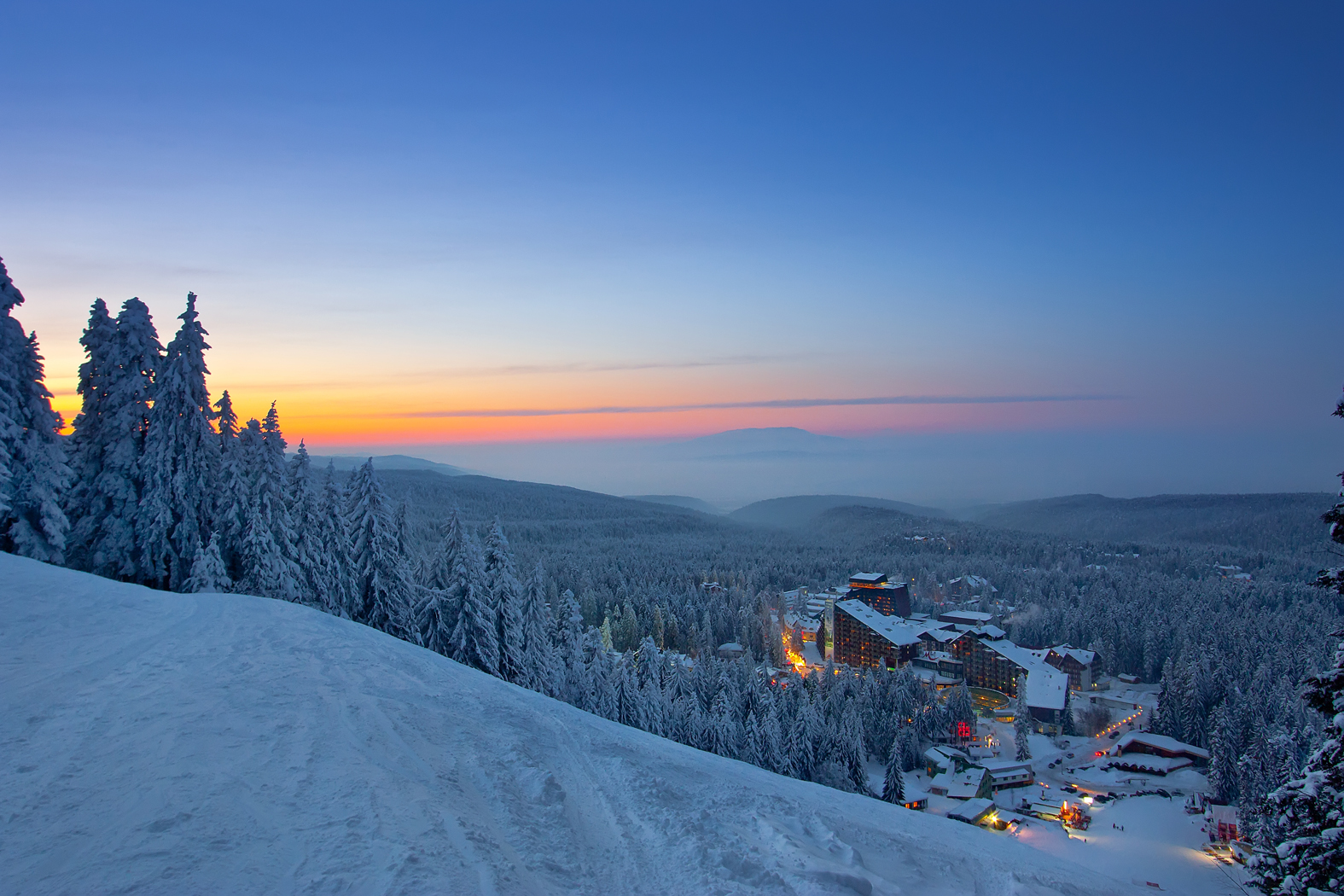 Мисливські угіддя