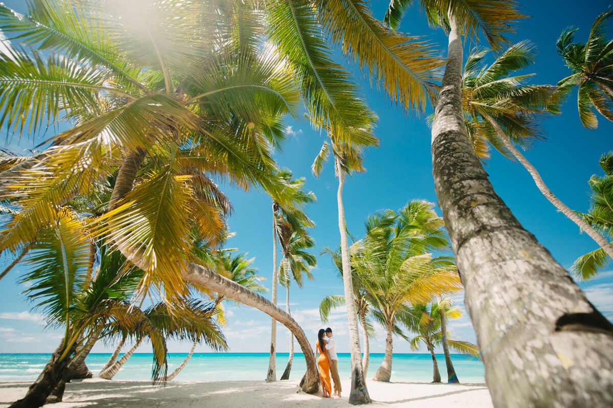 Пальмове місто