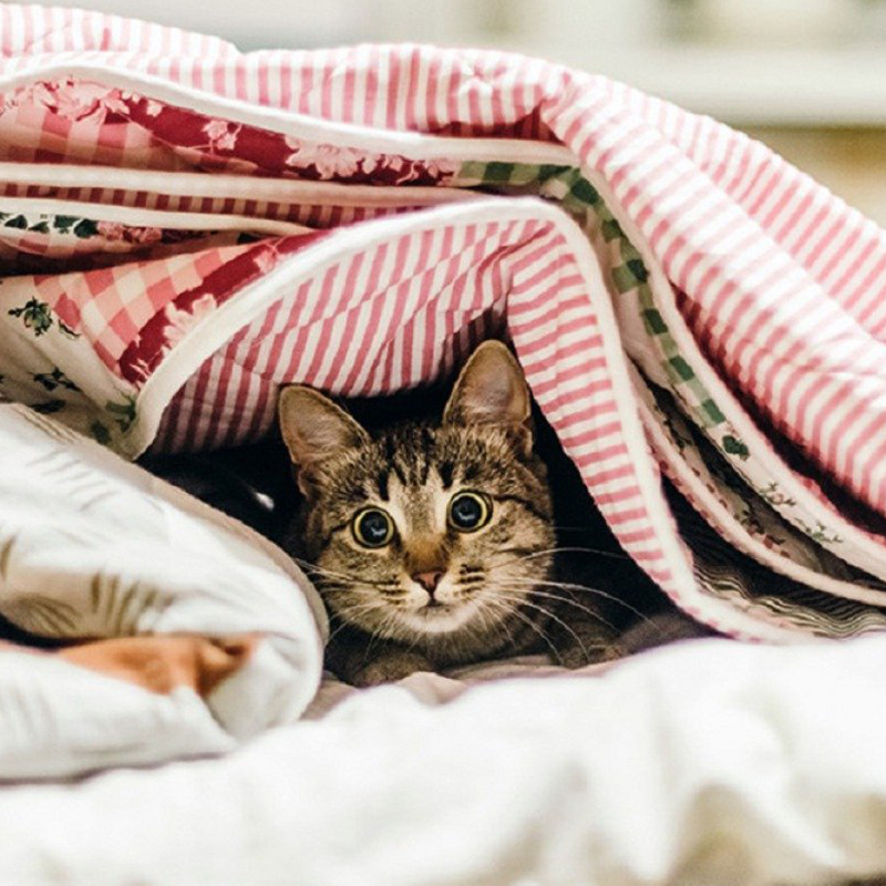 Без центрального опалення