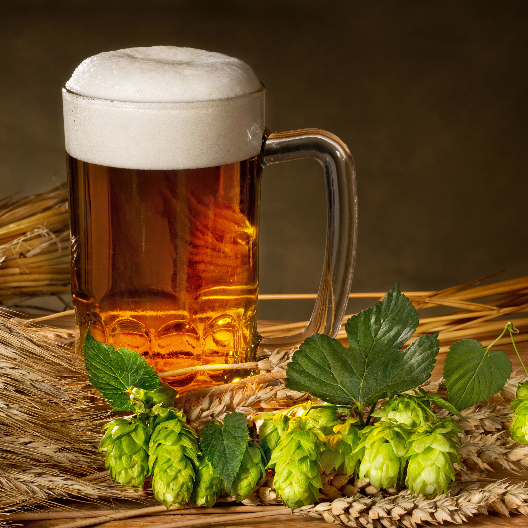 Хміль і солод