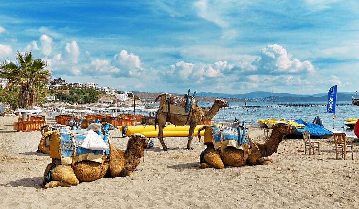 Верблюжий пляж