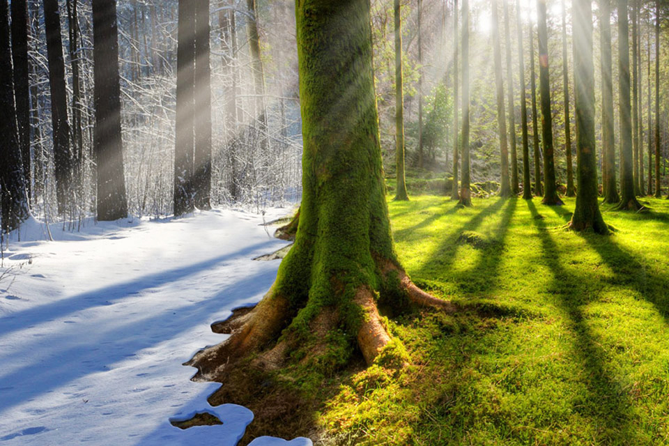3 кліматичні пояси