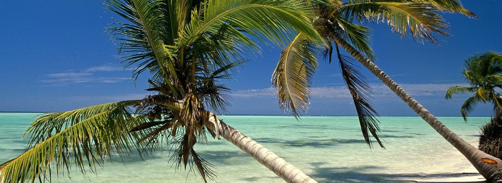 Горящие туры и путевки в Доминикану, дешевые цены на отдых в Доминикане
