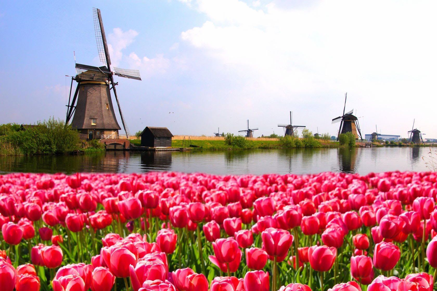 Нидерланды. Туры на майские праздники